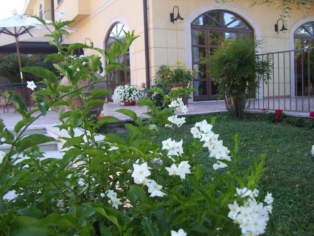 Hotel Del Sole Sora Luaran gambar